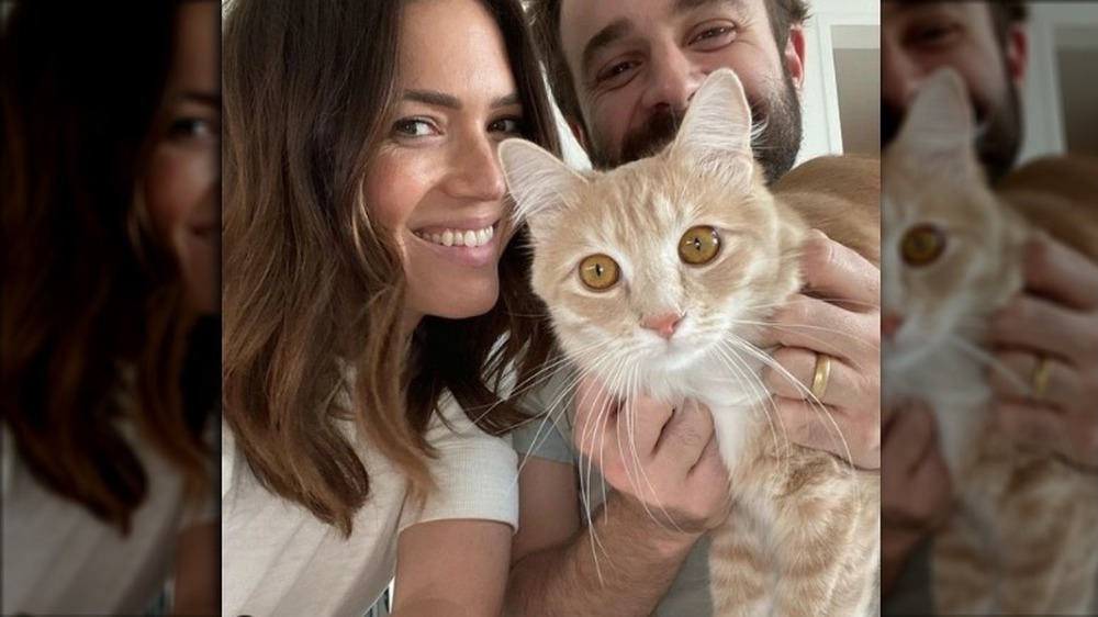 Mandy Moore and Taylor Goldsmith holding a cat while smiling