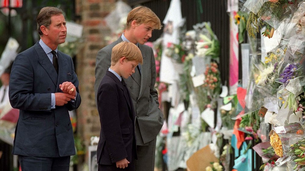 Prince Charles, Prince William, Prince Harry all mourning Princess Diana's death