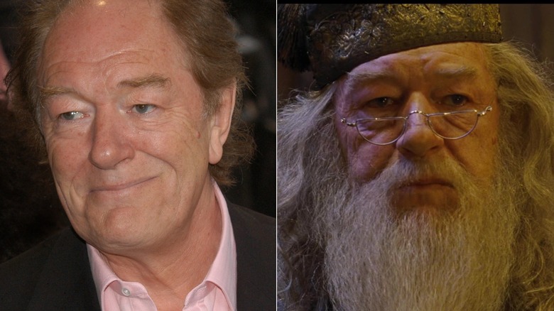 Michael Gambon split image Dumbledore