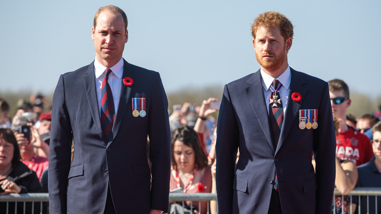 Prince William and Prince Harry standing next to each other