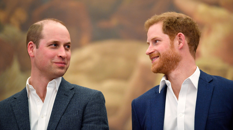 Prince William and Prince Harry smiling at each other