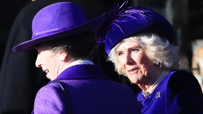 Princess Anne and Camilla Parker Bowles in purple and blue outfits