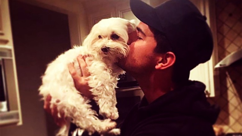 Taylor Lautner kissing small dog