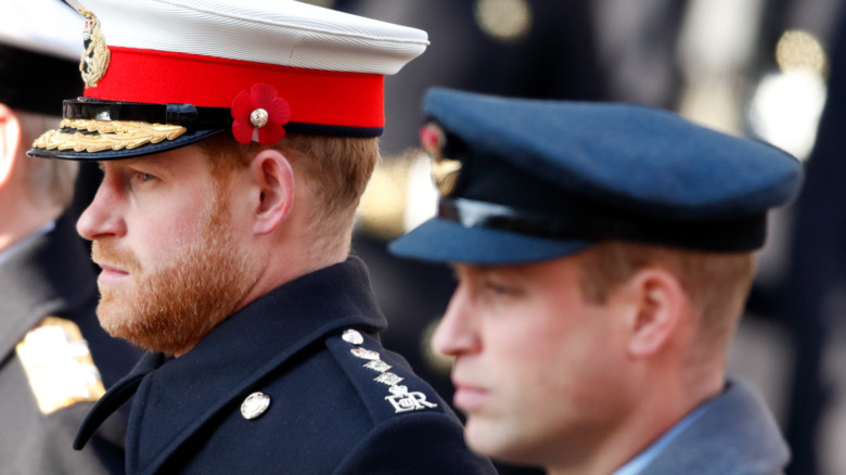 Prince William and Prince Harry in uniform