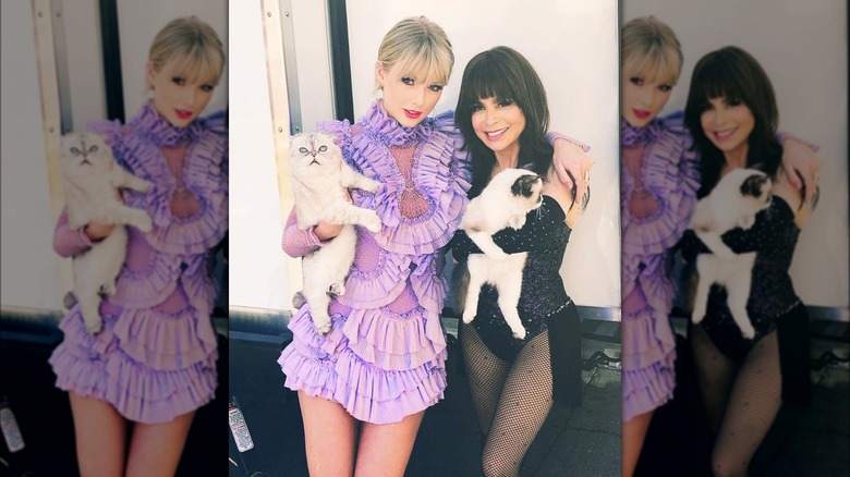 Taylor Swift and her cats with Paula Abdul