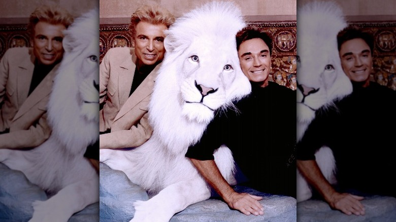 Siegfried and Roy with a white tiger