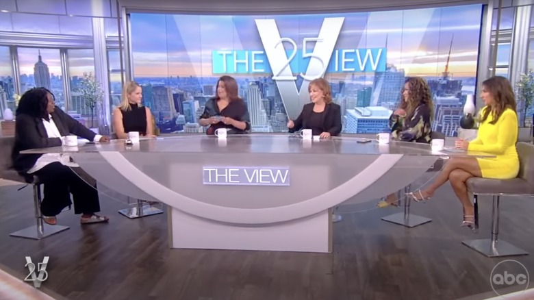 The View panel