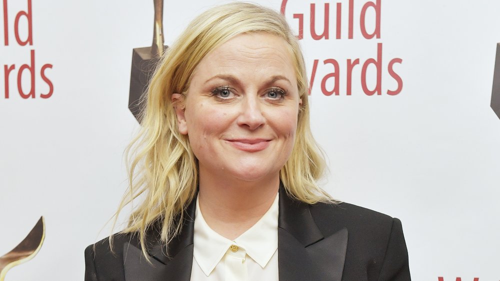 Amy Poehler at the 72nd Annual Writers Guild Awards 