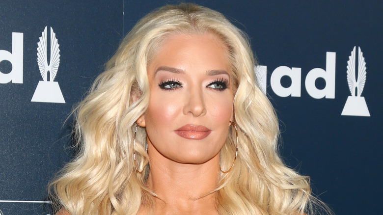 Singer and  Bravo star Erika Jayne