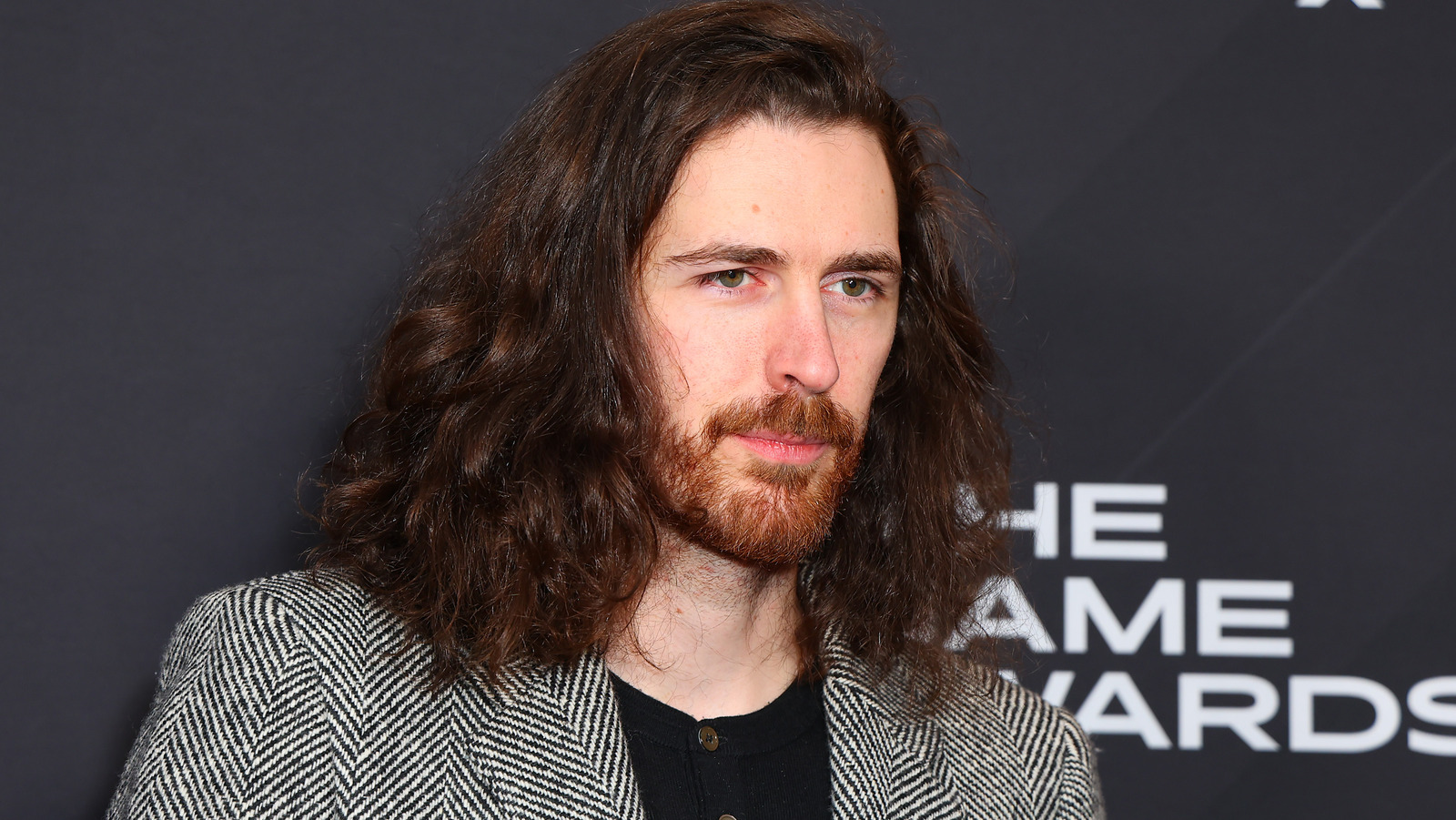 The Truth About Hozier's Relationship Status: Insight into the Musician ...