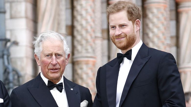 Prince Charles and Prince William chatting