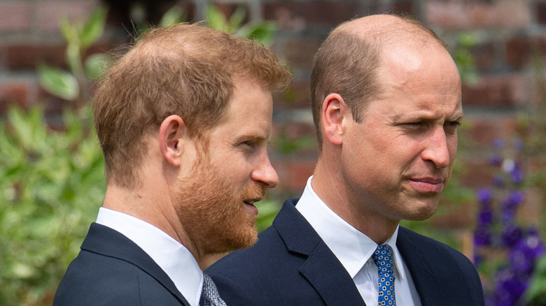 Prince Harry and Prince William standing together