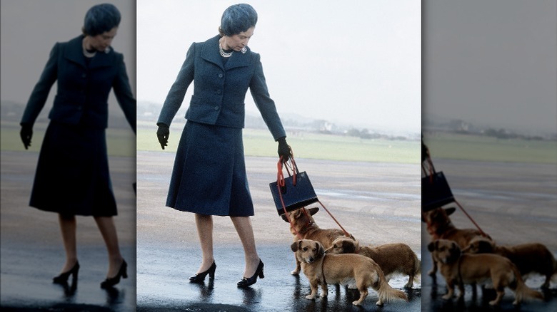 Queen Elizabeth with her dogs in 1974