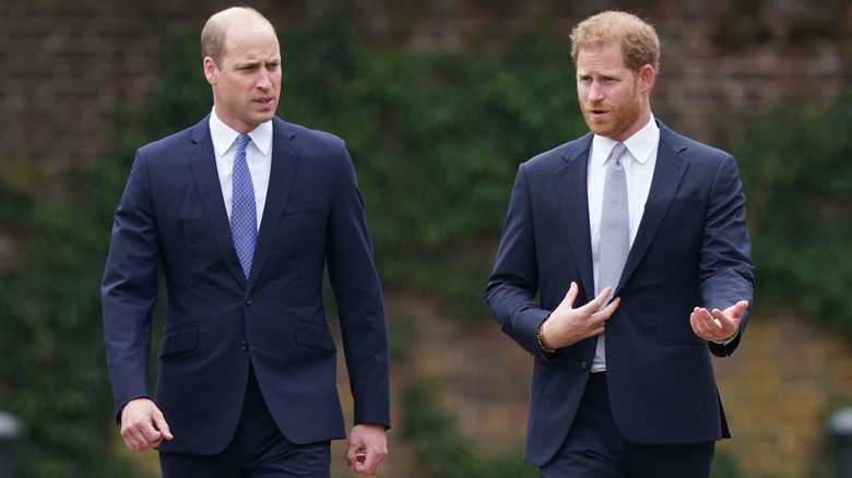 Prince William and Prince Harry