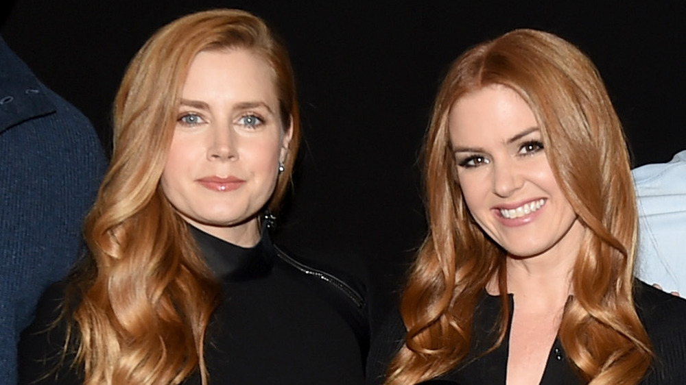 Amy Adams and Isla Fisher smiling