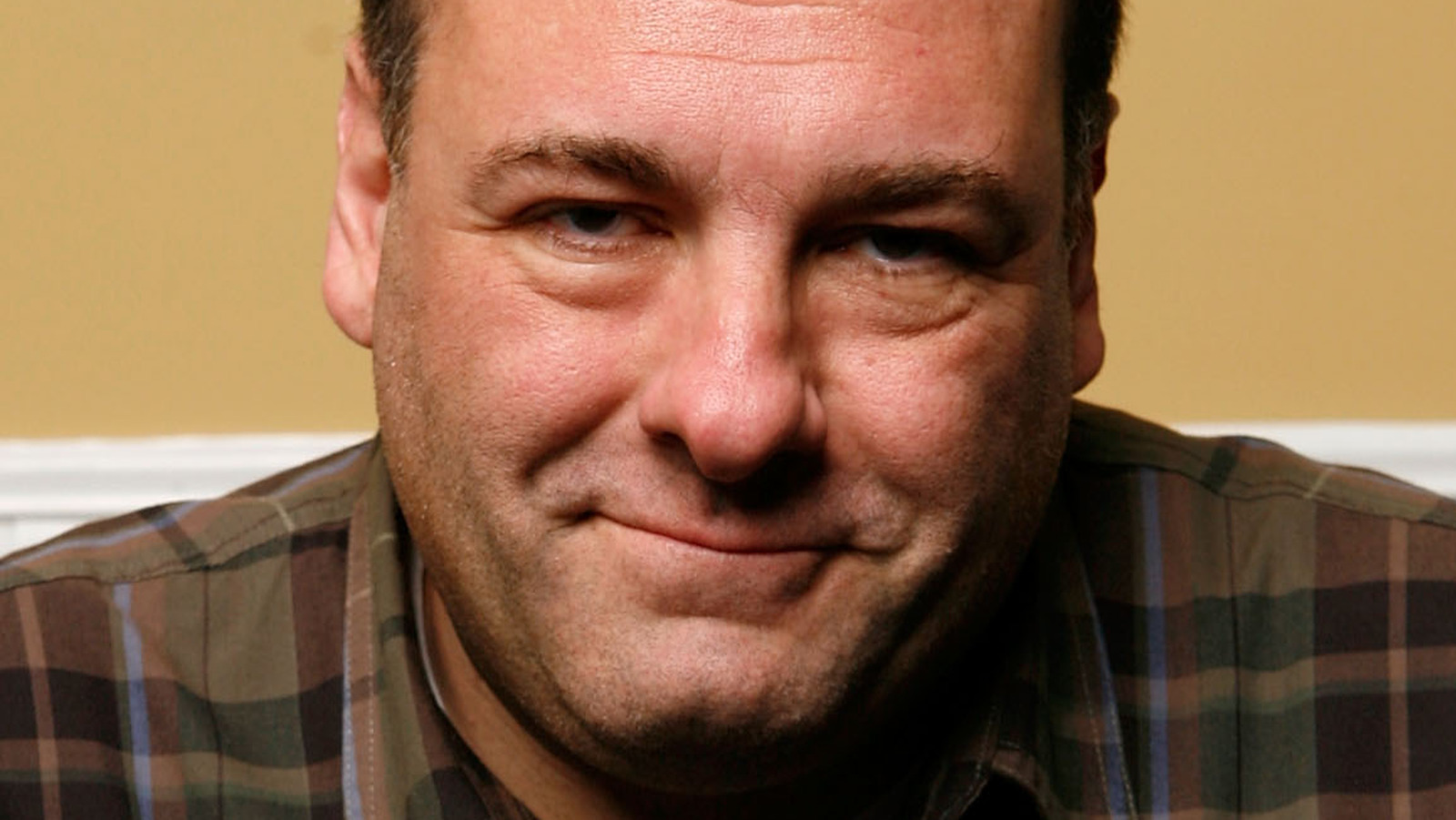 James Gandolfini S Net Worth How Much Was The Actor Worth When He Died   L Intro 1626384956 