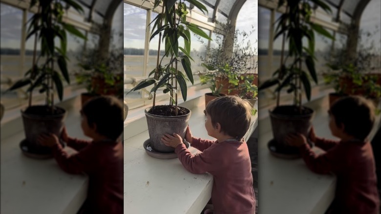 Crew Gaines grasping potted plant