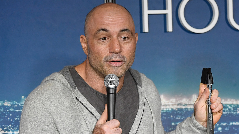 Joe Rogan performing