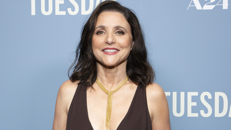 Julia Louis-Dreyfus smiling