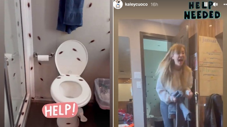 Kaley Cuoco screaming, alongside toilet with fake roaches