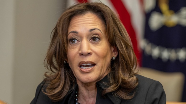 Kamala Harris speaks to the media on the response to the LA fires (2025)