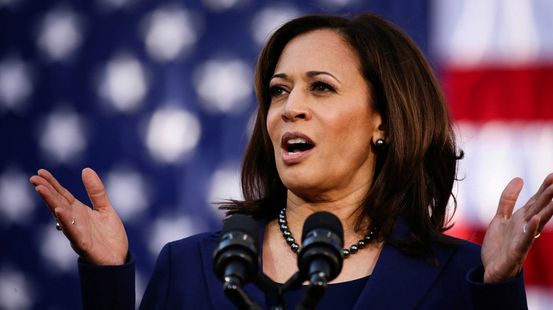 Kamala Harris in front of the American flag