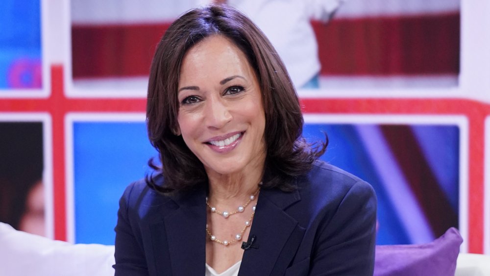 Kamala Harris' Salary As Vice President Might Surprise You