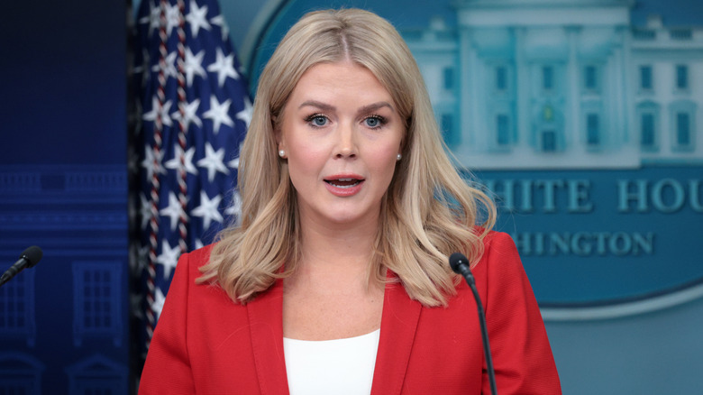 White House Press Secretary Karoline Leavitt speaks during the daily White House press briefing