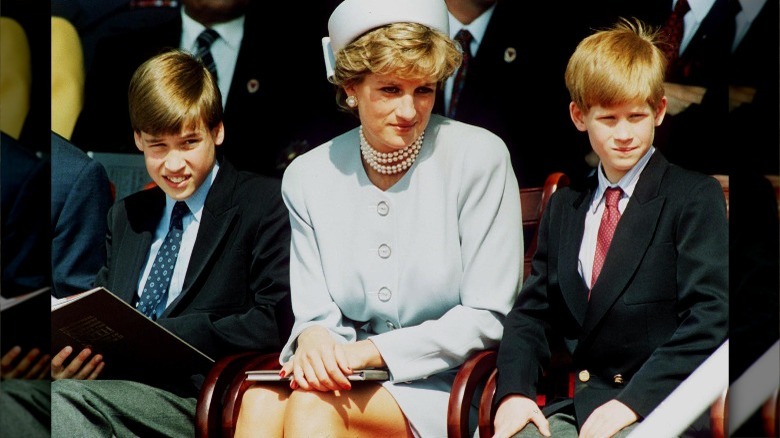 Young Prince William and Prince Harry