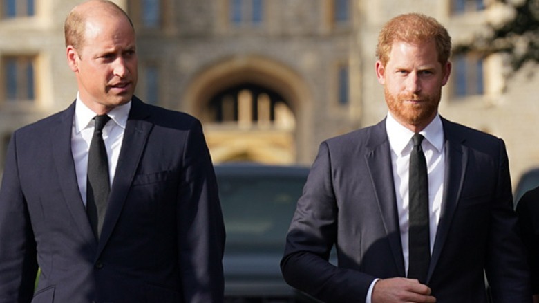 Prince William and Prince Harry walking at Windsor Castle (2022)