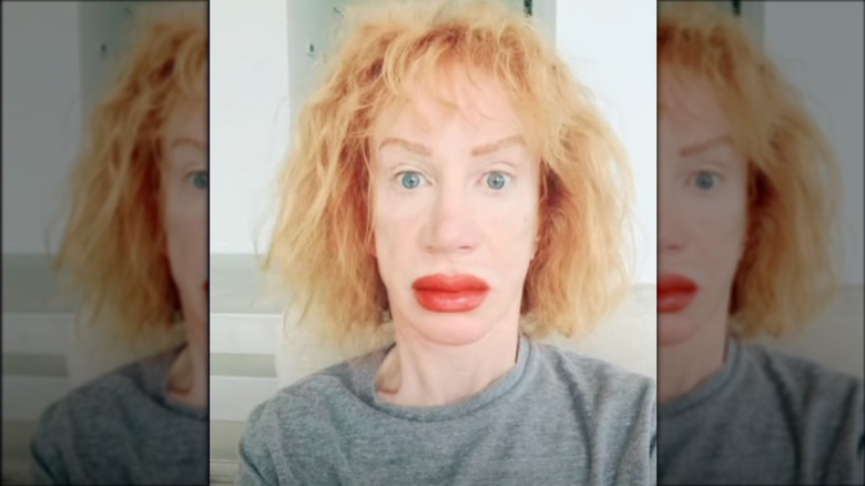 Kathy Griffin fake mugshot