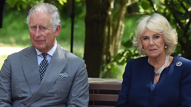 King Charles and Camilla on bench