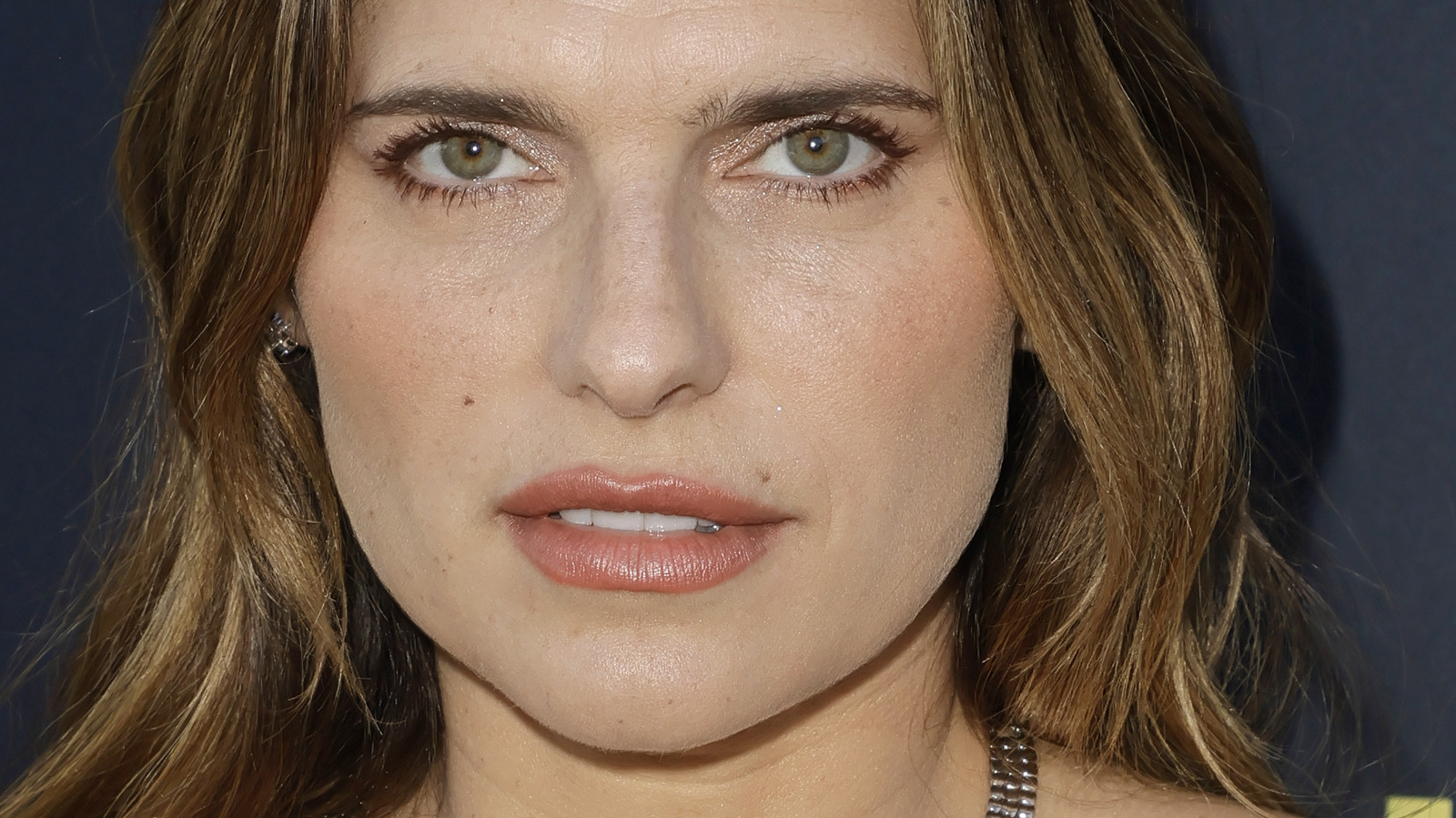 lake-bell-s-parenting-claims-are-sure-to-ruffle-some-feathers