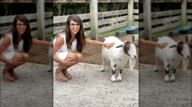 Lauren Boebert petting a goat