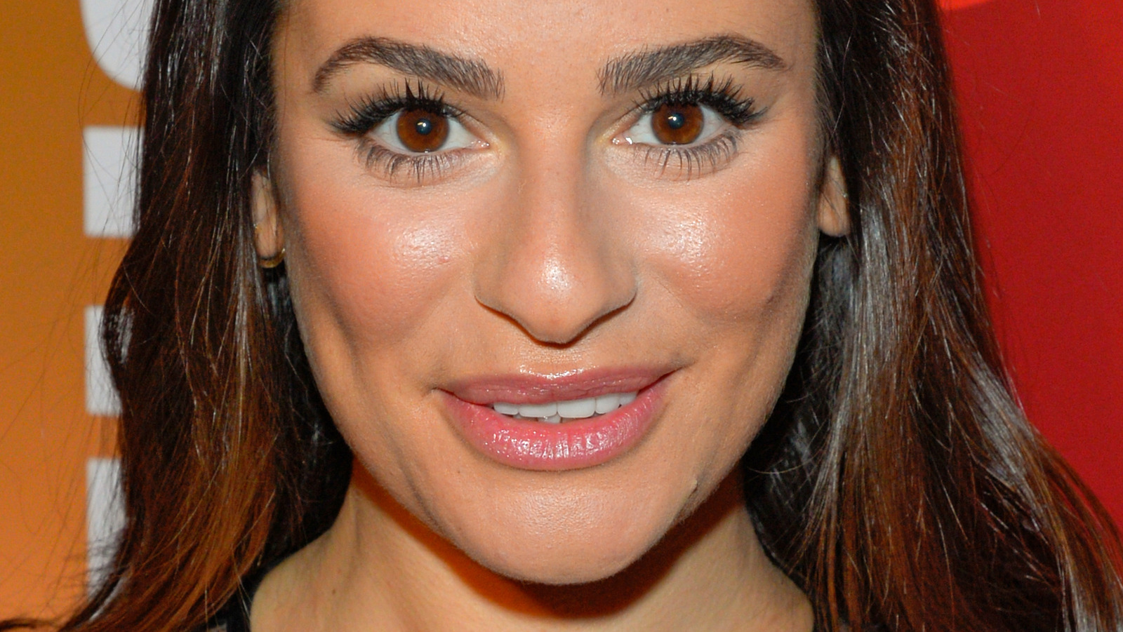 Lea Michele Is Offering To Be A Surrogate For One Of Her Famous