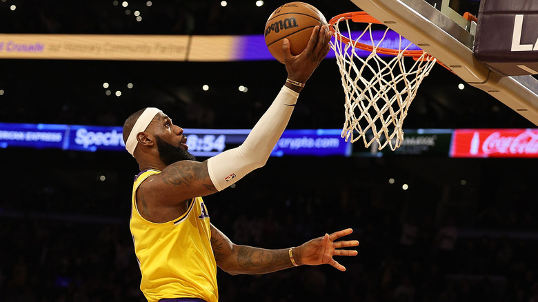 LeBron James jumps to the net