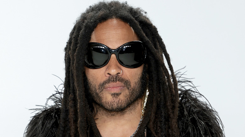 Lenny Kravitz: Details About The Let Love Rule Hitmaker