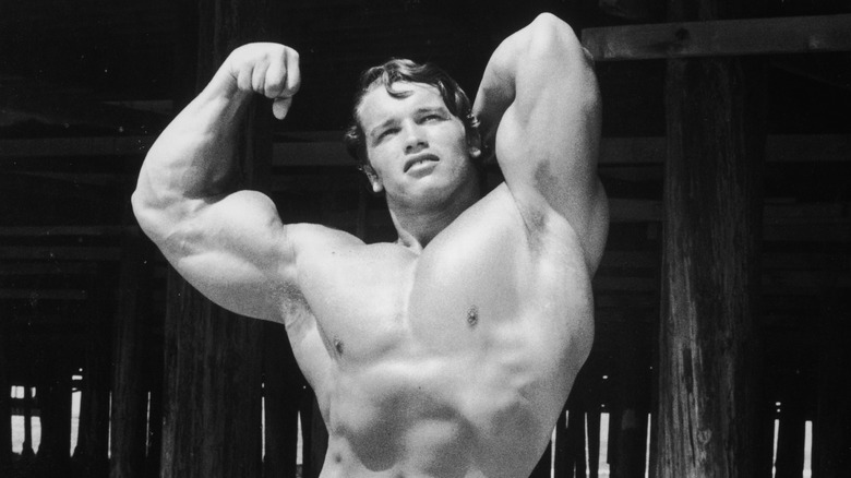 Young Arnold Schwarzenegger posing