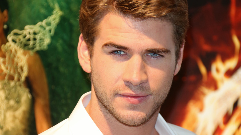 Liam Hemsworth posing