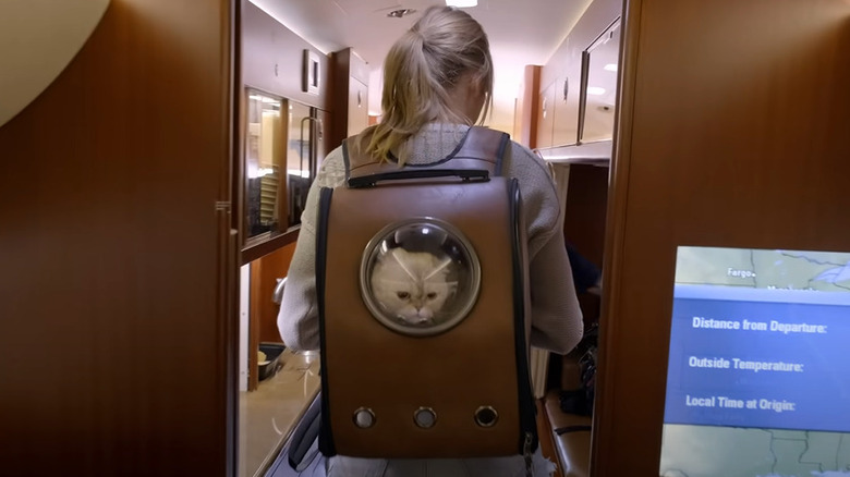 Taylor Swift carrying cat in backpack