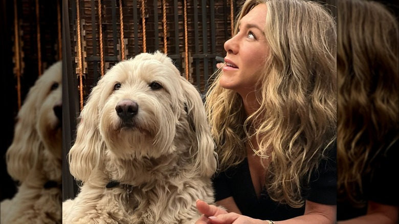 Jennifer Aniston with dog