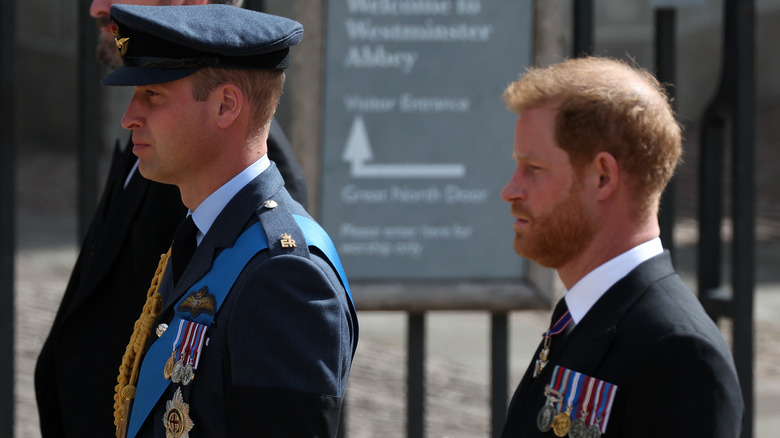 Prince Harry and Prince William Queen's Procession