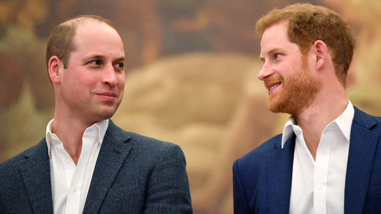 Prince Harry and Prince William look at each other 