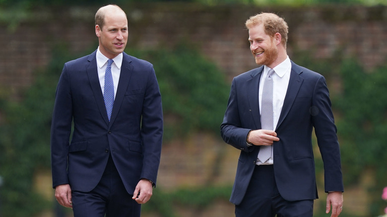 Prince Harry and Prince William talking 