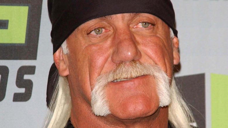 Hulk Hogan posing 