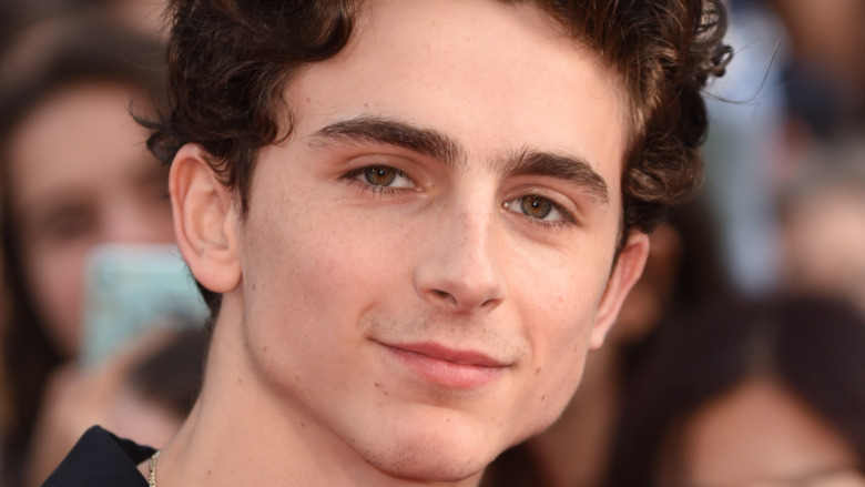 Timothee Chalamet smiles on the red carpet