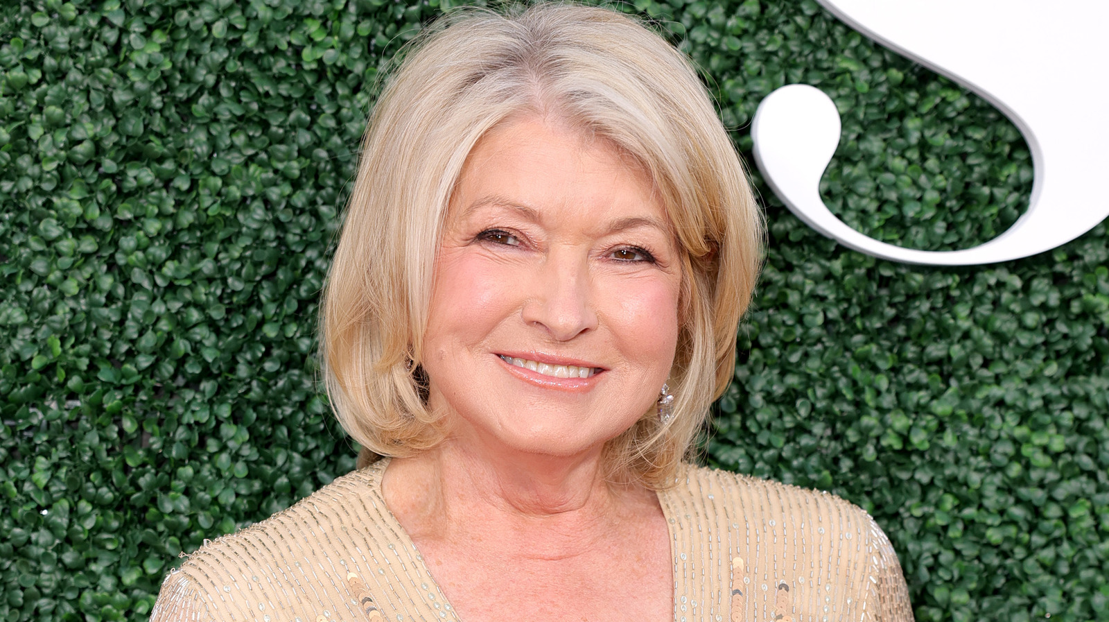 Martha Stewart's Stance On Plastic Surgery Is Clear As Day