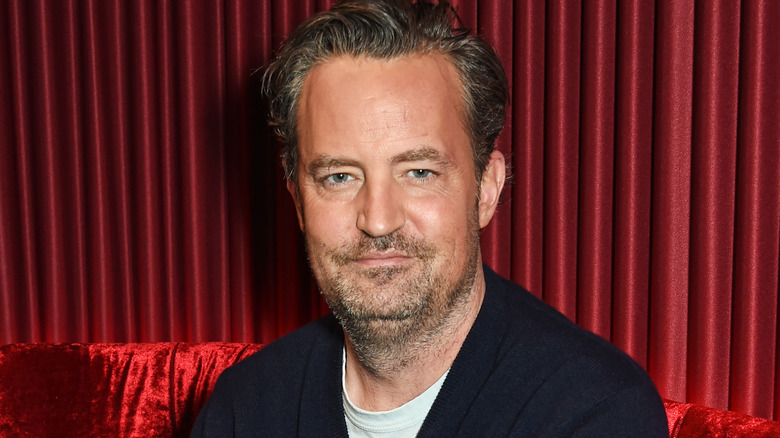 Matthew Perry posing