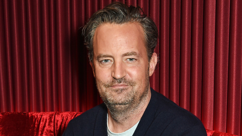 Matthew Perry, posing