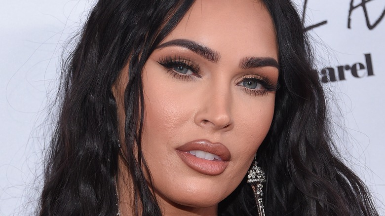 Megan Fox poses for a red carpet photo